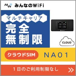 モバイルwifiレンタル来日訪日された方のご利用ランキング2位NA01